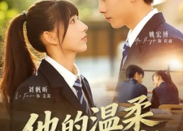 【他的温柔藏了多年】60集短剧在线无费观看