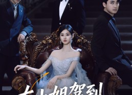 【大小姐驾到她又争又抢】64集免费短剧在线赏览