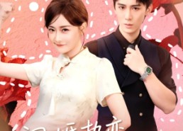 【闪婚热恋纪太太过分彪悍】80集短剧免费在线全集观览