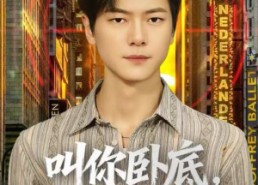 【叫你卧底，没叫你关心大嫂】80集短剧在线免费全集播放