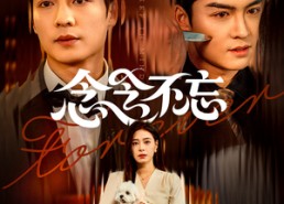 【念念不忘】73集短剧免费高清在线观看