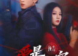 【爱是最高机密】24集短剧完整版在线畅看