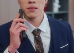 【雾散风不停】60集短剧全集无费在线观览