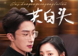 【他朝有缘共白头】免费看63集短剧全集在线