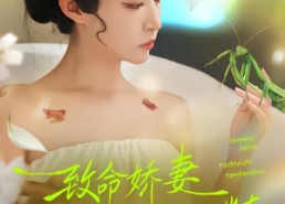 【致命娇妻：她是一只螳螂精】51集免费短剧在线览看