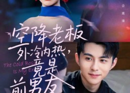 【空降老板外冷内热，竟是前男友】76集高清短剧在线免费看
