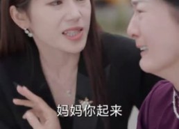 【谁怜天下慈母心】71集在线免费看短剧完整