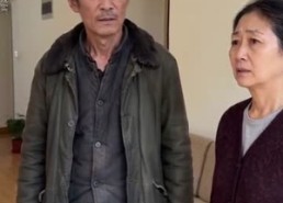【上桌】66集优质短剧免费全集观映