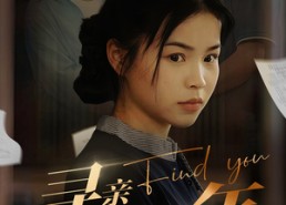 【寻亲二十年】81集高清短剧在线免费看