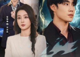 【隐姓埋名，我去当了上门女婿】80集精彩短剧在线速看
