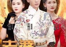 【老婆我真不是龙帅啊】95集短剧在线免费观看