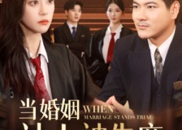 【当婚姻站上被告席】30集短剧在线免费全集观影