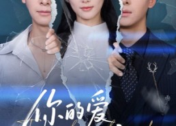 【你的爱时过境迁】61集精彩短剧在线免费赏