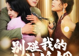 【别碰我的合法婚姻】30集在线免费短剧全集看