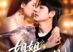 【姐姐，好久不见】30集优质短剧免费在线观影