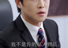 【飞鸟与鱼不同路】60集短剧免费全集在线赏