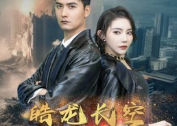 【皓龙长空】89集短剧免费在线赏看