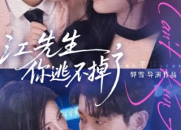 【江先生，你逃不掉了】72集短剧完整版免费在线赏
