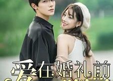 【爱在婚礼前降落】50集短剧完整版在线免费看