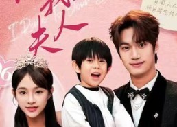 【你好，我的夫人】65集在线短剧完整观看