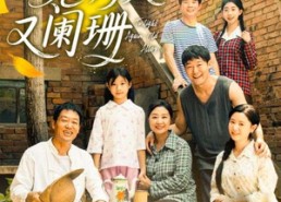 【旧巷灯火又阑珊】66集短剧在线免费览看