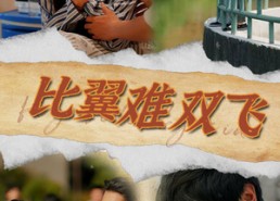 【比翼难双飞】30集免费短剧全集在线览看