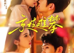 【京枝难攀】80集免费短剧全集在线赏看