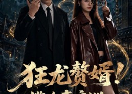 【狂龙赘婿！揽冷妻夜巡】80集短剧完整版免费在线赏