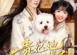 【贵妃她不想卷了】60集在线免费短剧全集览
