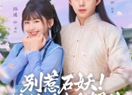 【别惹石妖！娘娘是来和解的】60集在线免费短剧完整版观看
