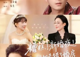 【糟糕！新婚夜！和姐姐走错了婚房】77集热门短剧全集在线看