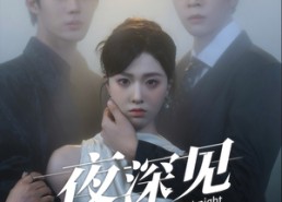 【夜深见月明】50集在线短剧全集免费赏
