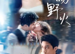 【夏吻野火】80集短剧免费在线观看全集