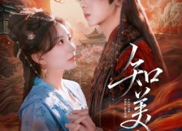 【知美人】81集短剧免费全集线上看