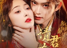 【请君夺娇】71集短剧免费全集观览