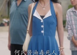 【夺回命运】34集短剧免费在线全览观看