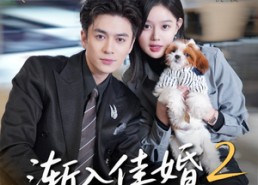 【渐入佳婚2】103集免费短剧在线畅快观看