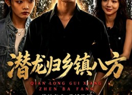 【潜龙归乡镇八方】68集短剧在线免费观瞧