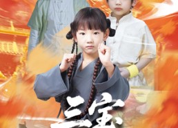 【三宝耀灵州】50集短剧在线免费畅快观