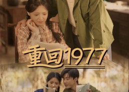【重回1977】71集短剧免费高清全集看