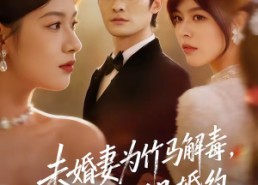 【未婚妻为竹马解毒，他撕毁婚约】41集免费短剧在线完整赏