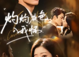 【灼灼夜色入我怀】60集短剧全集免费在线速看