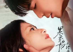 【黑天鹅之错爱】30集短剧全集畅享在线观看