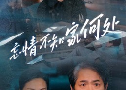 【忘情不知家何处】53集短剧在线免费观看