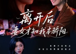 【离开后妻女才知我本骄阳】112集短剧免费全集畅览