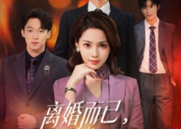 【离婚而已，林小姐追求者已经排到法国】60集短剧免费在线播放全集