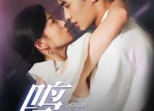 【鸣冥】90集短剧免费在线全览看