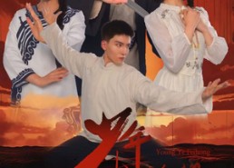 【少年叶飞鸿之龙城争霸】31集短剧全本免费览