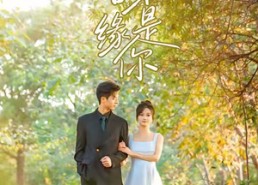 【苦尽甘来缘是你】45集精彩短剧免费在线追看