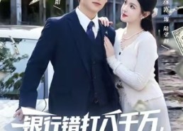 【银行错打八千万，我反手买栋烂尾楼】81集短剧全集在线免费观